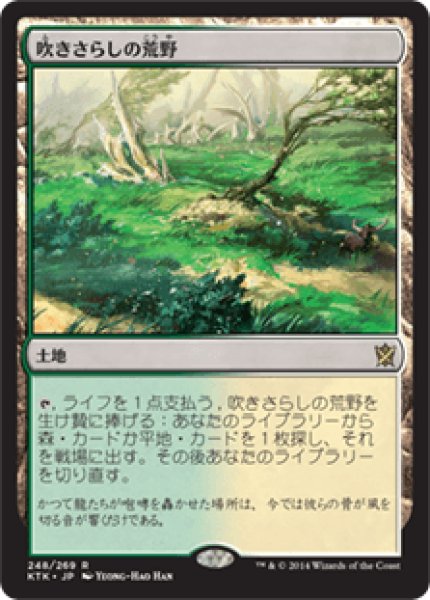 画像1: Windswept Heath/吹きさらしの荒野 (1)
