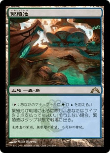 画像1: Breeding Pool/繁殖池 (1)