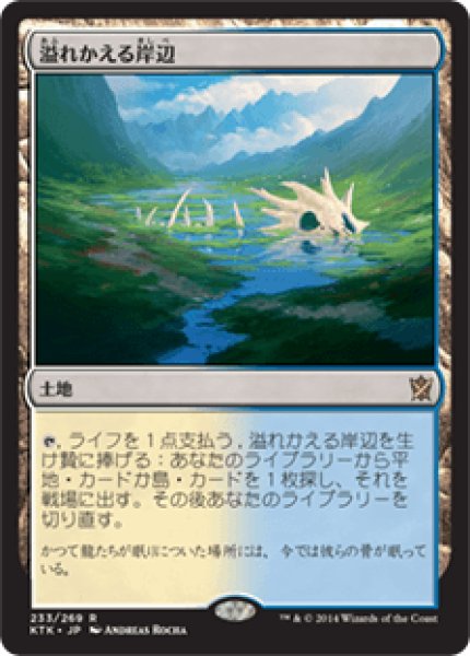 画像1: Flooded Strand/溢れかえる岸辺 (1)