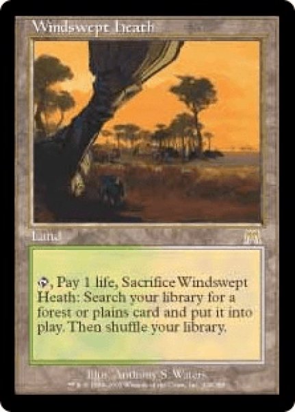 画像1: Windswept Heath/吹きさらしの荒野 (1)