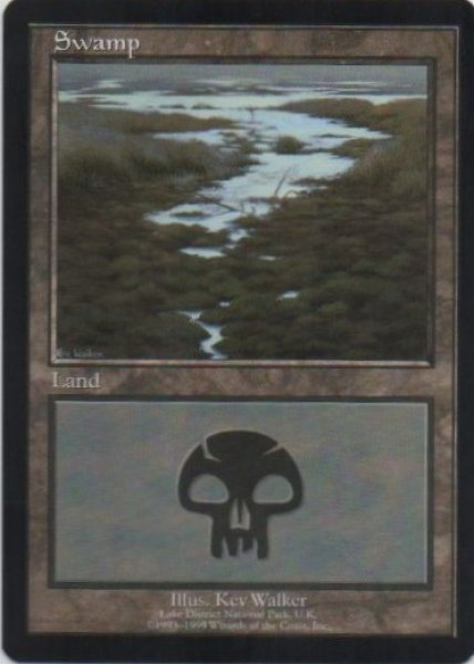 画像1: 《EURO2》Swamp/沼《Lake District National Park,U.K.》 (1)