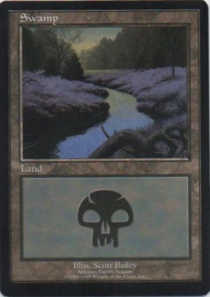 画像1: 《EURO1》Swamp/沼《Ardennes Fagnes,Belgium》 (1)