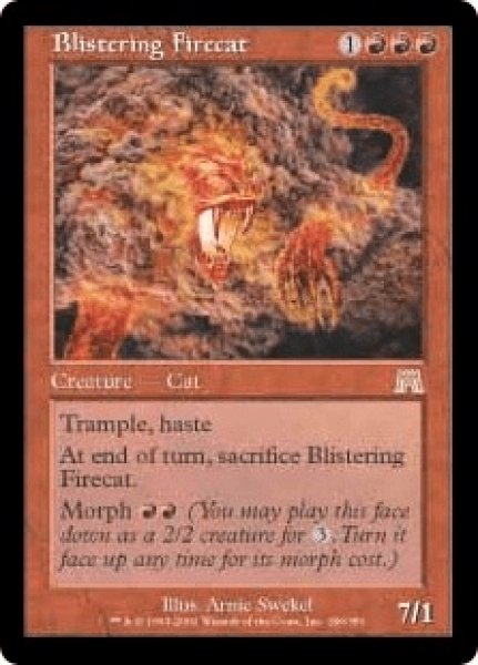 画像1: Blistering Firecat/焦熱の火猫 (1)