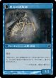 画像2: Delver of Secrets/秘密を掘り下げる者 (2)