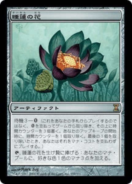 画像1: Lotus Bloom/睡蓮の花 (1)