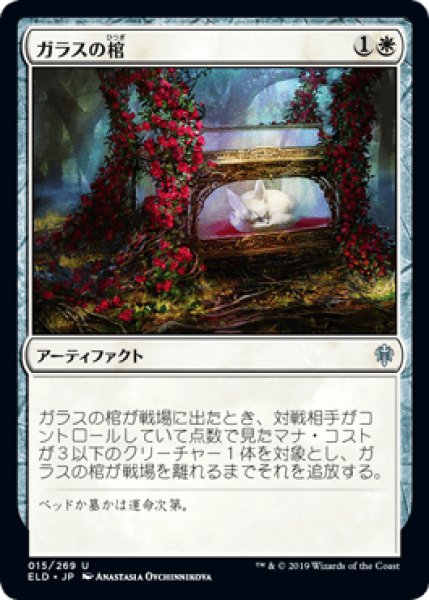 画像1: Glass Casket/ガラスの棺 (1)