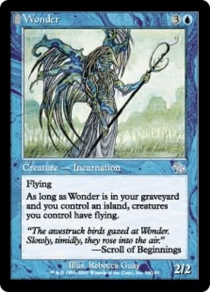画像1: Wonder/不可思議 (1)