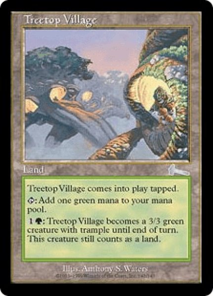 画像1: Treetop Village/樹上の村 (1)