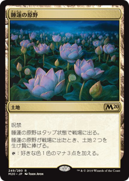 画像1: Lotus Field/睡蓮の原野 (1)