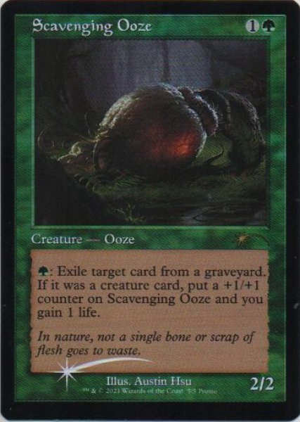 画像1: 《Foil》《旧枠プロモ》Scavenging Ooze/漁る軟泥 (1)