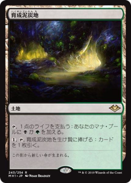 画像1: Nurturing Peatland/育成泥炭地 (1)