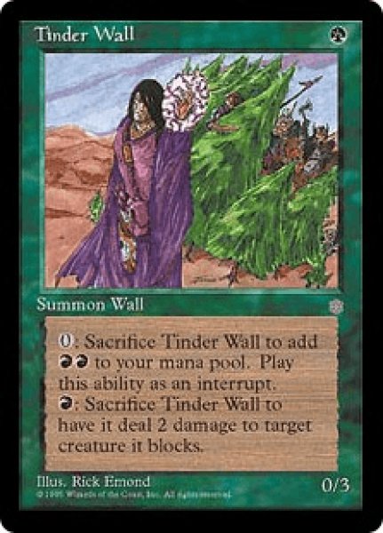 画像1: Tinder Wall/ほくちの壁 (1)