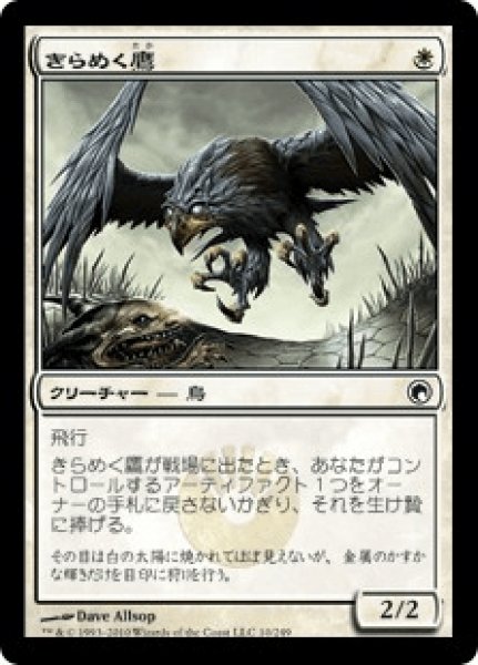 画像1: Glint Hawk/きらめく鷹 (1)