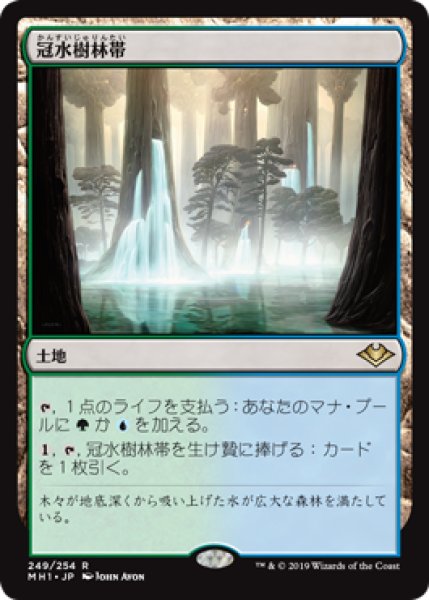 画像1: 《Foil》Waterlogged Grove/冠水樹林帯 (1)