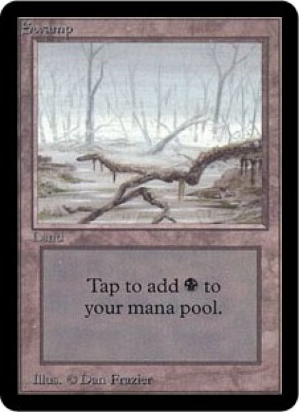 画像1: Swamp/沼《One Branches》 (1)