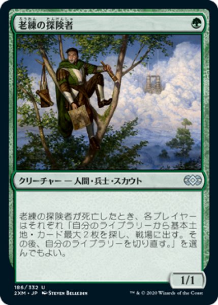 画像1: 《Foil》Veteran Explorer/老練の探険者 (1)