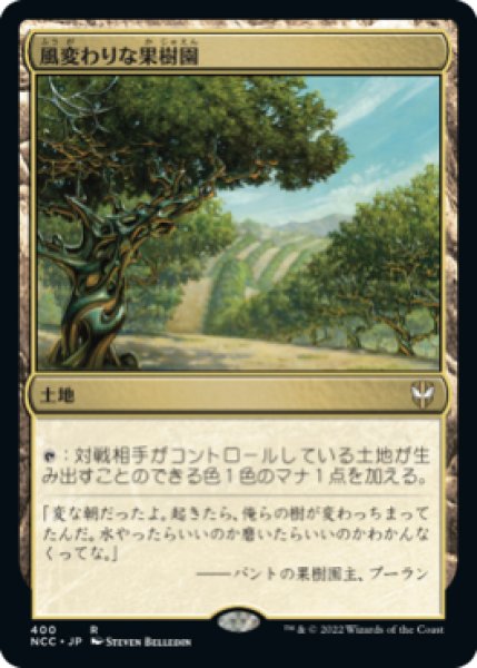 画像1: Exotic Orchard/風変わりな果樹園 (1)