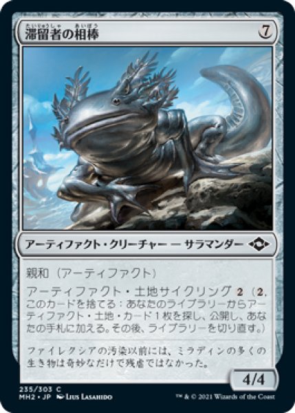 画像1: 《Foil》Sojourner's Companion/滞留者の相棒 (1)