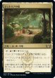 画像1: Jetmir's Garden/ジェトミアの庭 (1)