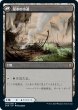 画像2: 《Foil》Clearwater Pathway/清水の小道+Murkwater Pathway/泥水の小道 (2)