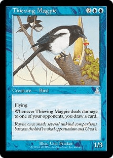 画像1: Thieving Magpie/泥棒カササギ (1)