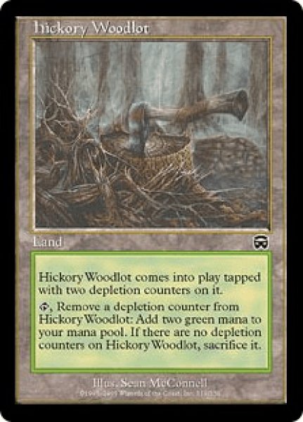 画像1: Hickory Woodlot/ヒッコリーの植林地 (1)