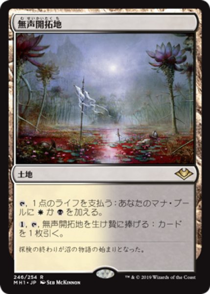 画像1: Silent Clearing/無声開拓地《246》 (1)