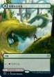 画像1: 《ボーダーレス》Branchloft Pathway/枝重なる小道 (1)