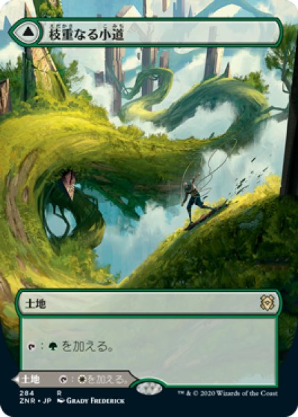 画像1: 《ボーダーレス》Branchloft Pathway/枝重なる小道 (1)