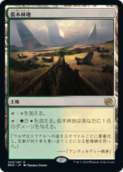 画像1: Brushland/低木林地《259》 (1)