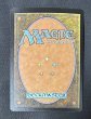 画像4: 《実物写真掲載商品》《Foil》《サインド》Niv-Mizzet,the Firemind/火想者ニヴ＝ミゼット《状態:SP》#1063 (4)