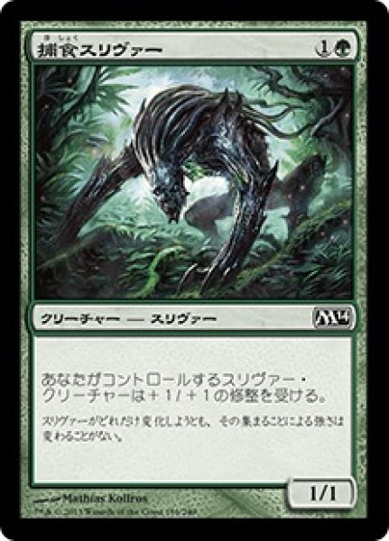 画像1: 《Foil》Predatory Sliver/捕食スリヴァー (1)