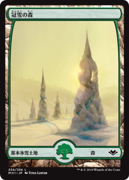 画像1: 《Foil》Snow-Covered Forest/冠雪の森《254》 (1)