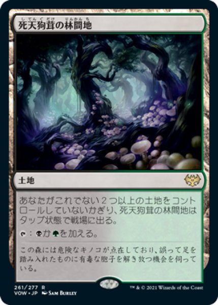 画像1: Deathcap Glade/死天狗茸の林間地 (1)