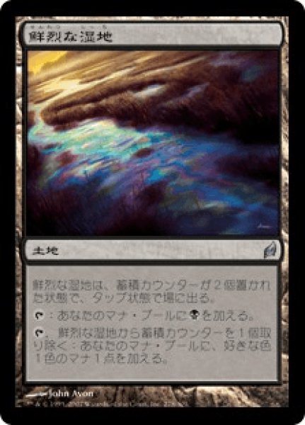 画像1: 《Foil》Vivid Marsh/鮮烈な湿地 (1)