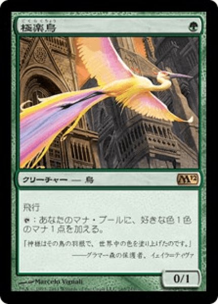 画像1: Birds of Paradise/極楽鳥 (1)