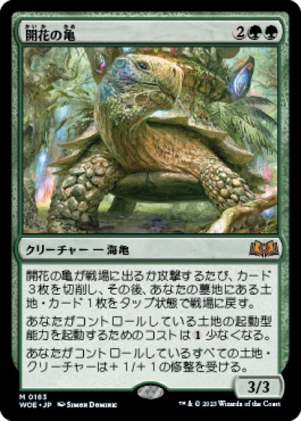 画像1: Blossoming Tortoise/開花の亀 (1)