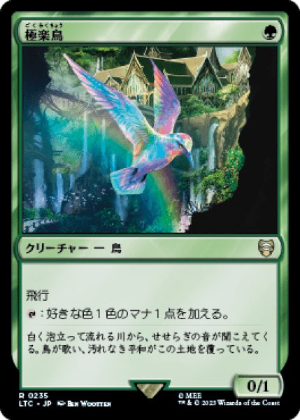 画像1: Birds of Paradise/極楽鳥 (1)