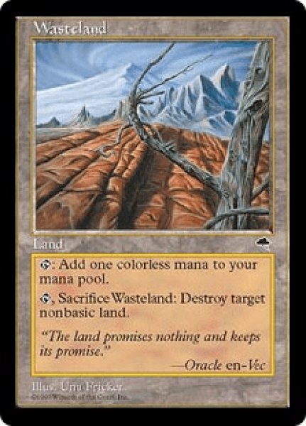 画像1: Wasteland/不毛の大地 (1)