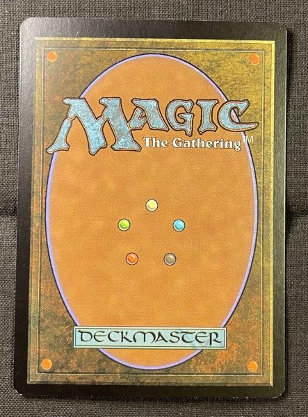 画像6: 《実物写真掲載商品》《Foil》《サインド》Niv-Mizzet,the Firemind/火想者ニヴ=ミゼット《状態:SP》#1063 (6)