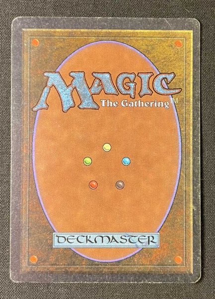 画像2: 《実物写真掲載商品》Island of Wak-Wak《状態:MP》#1040 (2)