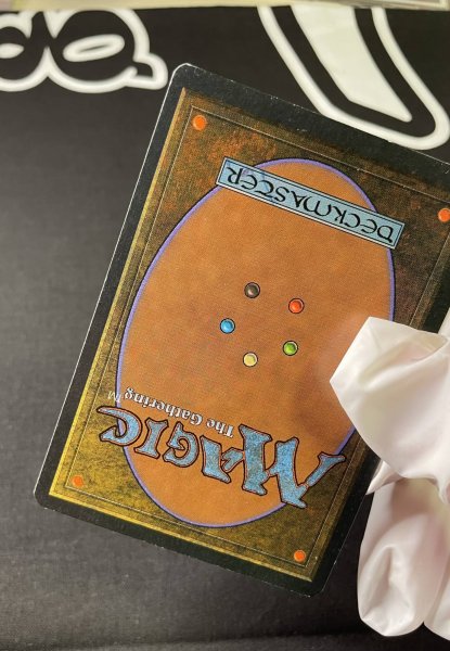 画像6: 《実物写真掲載商品》Savannah《状態:NM》#1151 (6)