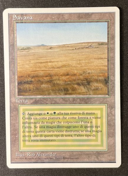画像2: 《実物写真掲載商品》Savannah《状態:NM》#1151 (2)