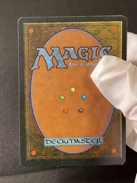 画像4: 《実物写真掲載商品》Savannah《状態:NM》#1151 (4)