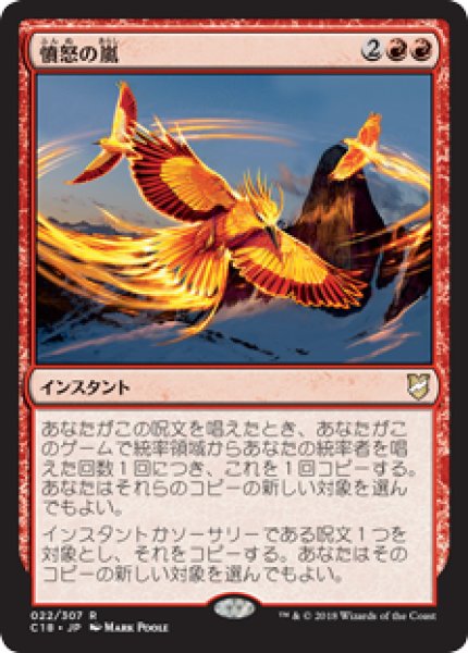 画像1: Fury Storm/憤怒の嵐 (1)