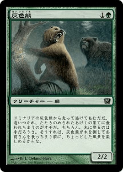 画像1: 《Foil》Grizzly Bears/灰色熊 (1)