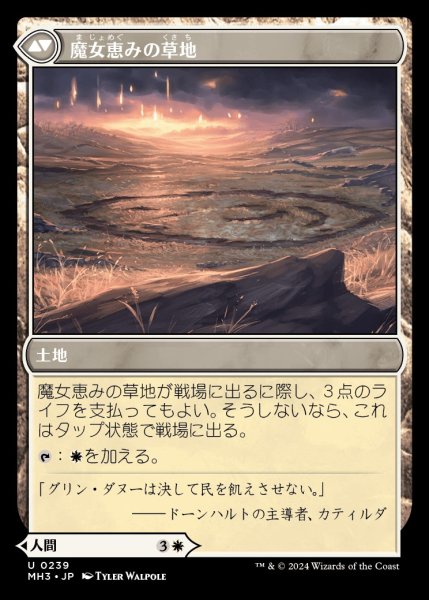 画像2: Witch Enchanter/魔女の結界師《239》 (2)