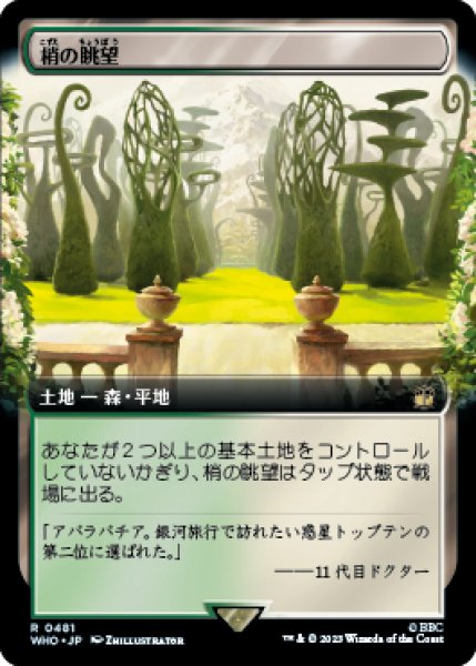 画像1: 《Foil》《サージ》《拡張アート》Canopy Vista/梢の眺望 (1)