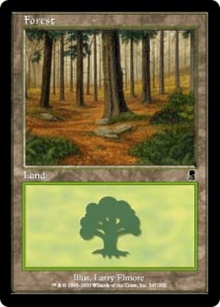 画像1: 《Foil》Forest/森《347》 (1)