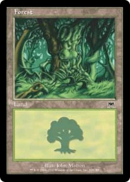画像1: 《Foil》Forest/森《348》 (1)